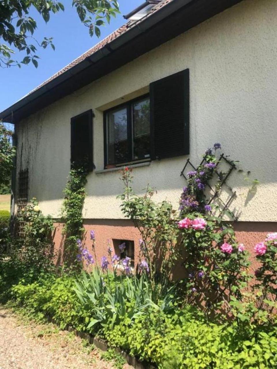La Maison Des Roses Drachenbronn-Birlenbach Exterior foto