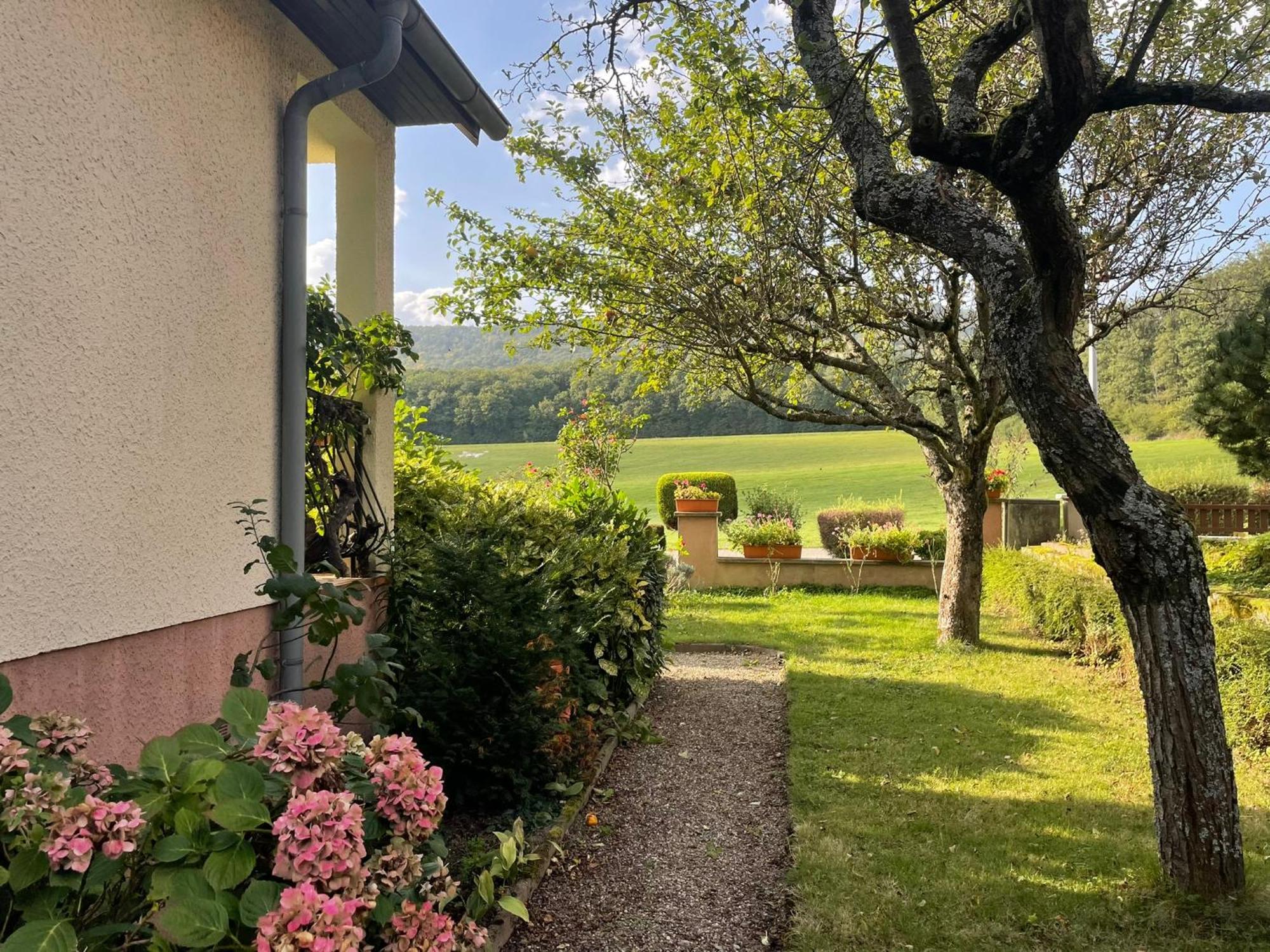 La Maison Des Roses Drachenbronn-Birlenbach Exterior foto