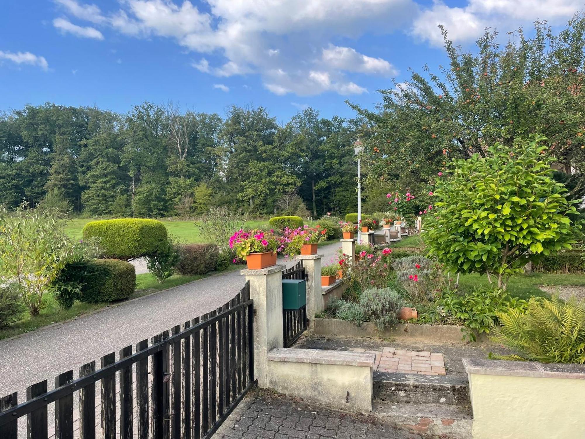 La Maison Des Roses Drachenbronn-Birlenbach Exterior foto